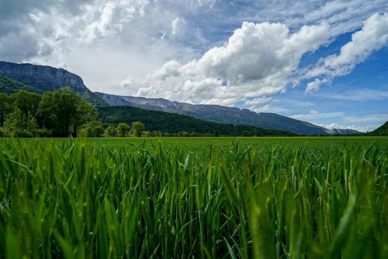 Les Aravis - Apartment For 6 People 5Min From The Lake Giez Exteriör bild